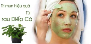 Chăm sóc da Mụn mủ ở da khô BẰNG RAU DIẾP CÁ