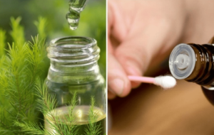 11 Lợi Ích Tinh Dầu Tràm Trà Tuyệt Vời Bạn Nên Biết