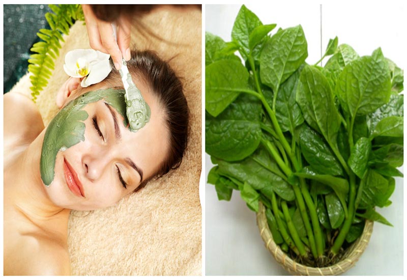 Làm Đẹp Từ Rau Mồng Tơi, Công dụng ,Cách Sử Dụng 